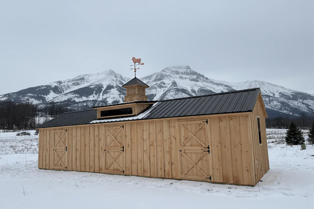 The Saddlebrook Stable