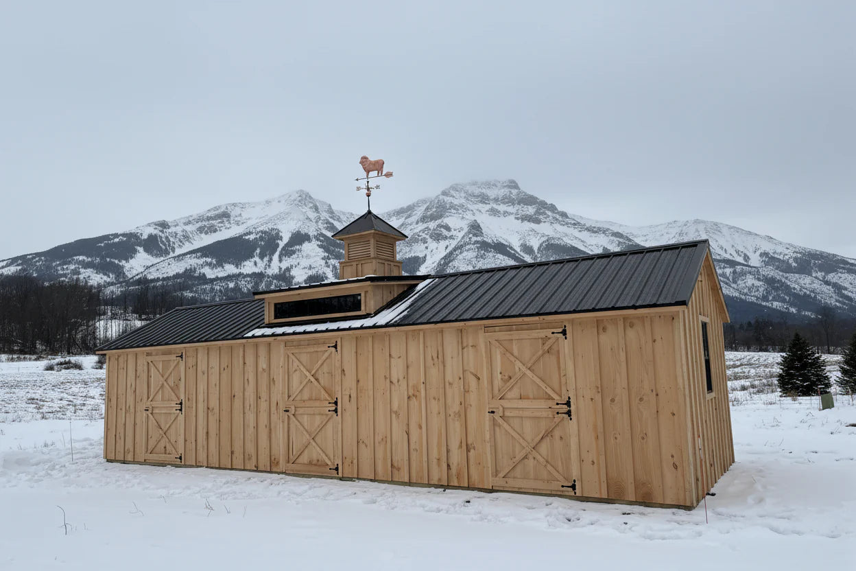 The Saddlebrook Stable